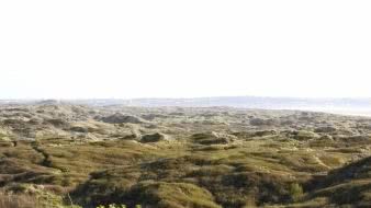The Braunton Unesco Biosphere Reserve is just ten minutes away